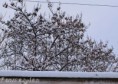 /album/ancora-e-ancora-neve-02-02-12/dsc-0512-jpg/