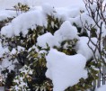/album/ancora-e-ancora-neve-02-02-12/dsc-0514-jpg/