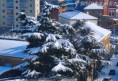 /album/ancora-e-ancora-neve-02-02-12/dsc-0541-jpg/